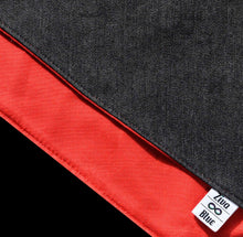 Pet Bandana - London Beagle Boy
