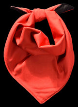 Pet Bandana - London Beagle Boy