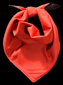 Pet Bandana - London Beagle Boy