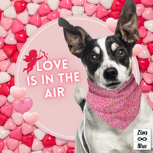 Pet Bandana - Pink Hearts