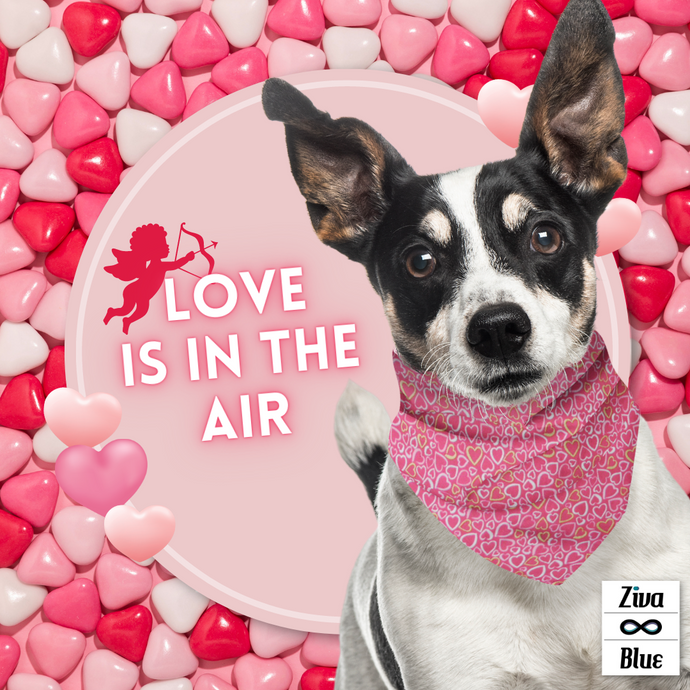 Pet Bandana - Pink Hearts