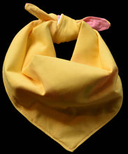 Pet Bandana -  Meg's Diamond