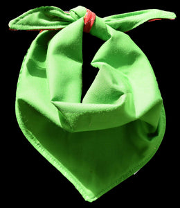Pet Bandana - Rocket Dog