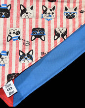 Pet Bandana - Walking the Dog