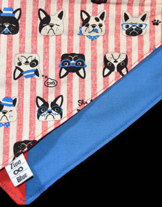 Pet Bandana - Walking the Dog