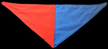 Pet Bandana - Walking the Dog