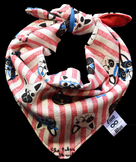 Pet Bandana - Walking the Dog
