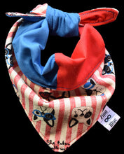 Pet Bandana - Walking the Dog