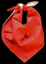 Pet Bandana - Glama Danna Silver Strike