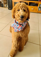 Pet Bandana - British Blue
