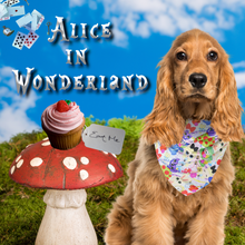 Pet Bandana - Mad hatter's Tea Party