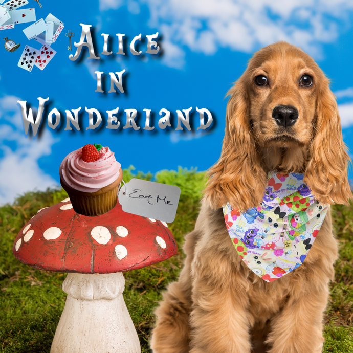 Pet Bandana - Mad hatter's Tea Party