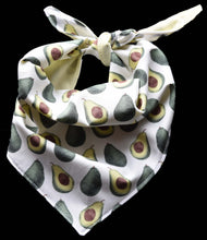Pet Bandana - Avo