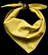 Pet Bandana - RFC Tigers - Yellow & Black