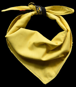 Pet Bandana - RFC Tigers - Yellow & Black