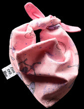 Pet Bandana - Ballet Shoes