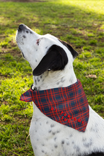 Pet Bandana - #1 Pawsome Fan