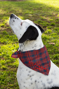 Pet Bandana - #1 Pawsome Fan