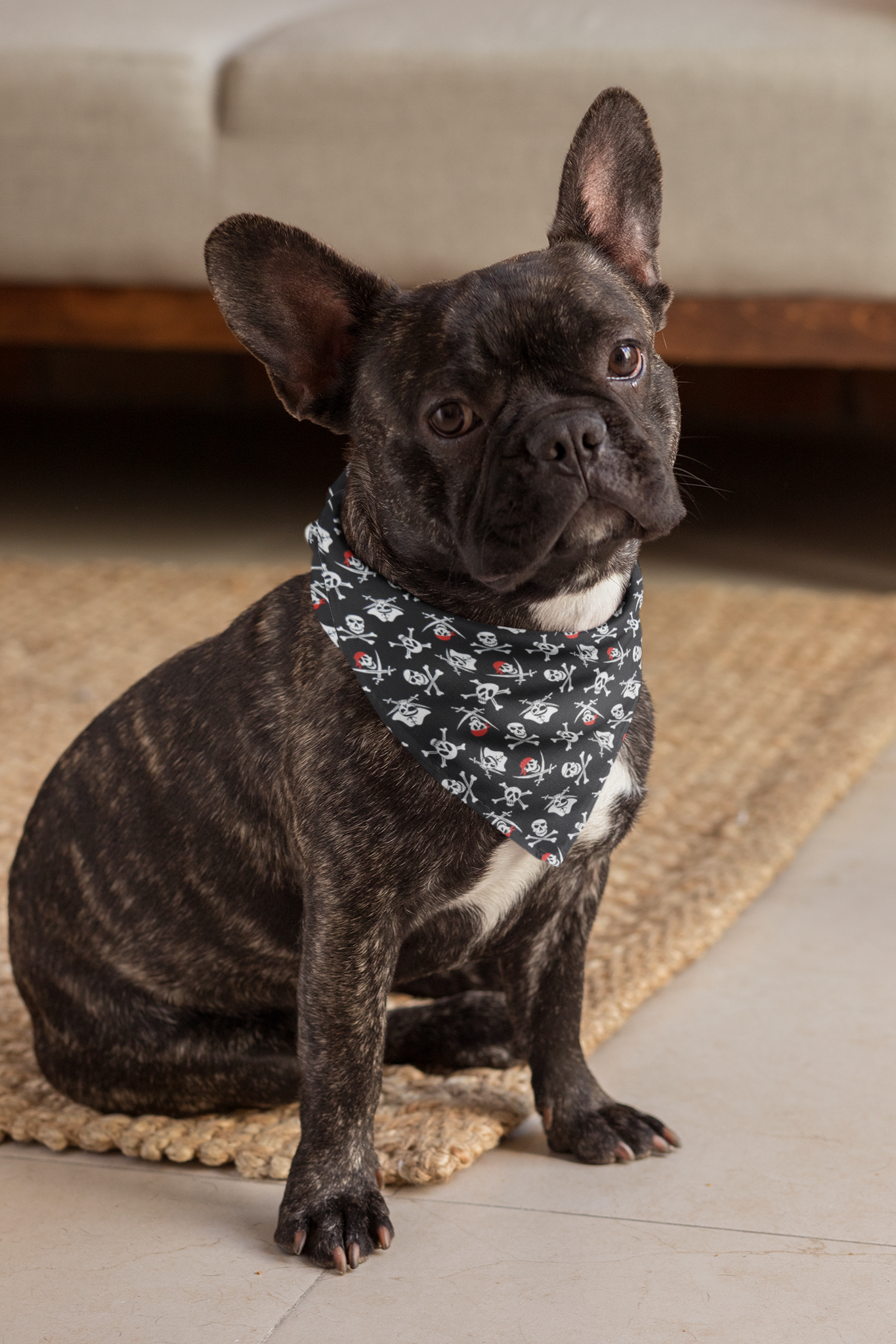 Pirate dog discount bandana