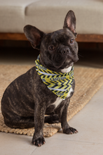 Pet Bandana -  Glow for it - Glow in the Dark