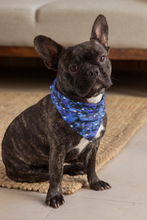 Pet Bandana -  Glow for it - Glow in the Dark