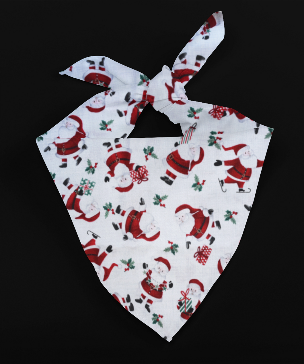 Pet Bandana - Santa's Gift