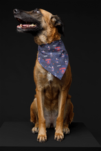 Pet Bandana - D's - Red and Blue