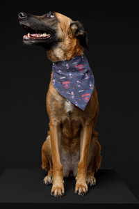 Pet Bandana - D's - Red and Blue