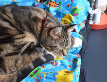Pet Blanket - Cute Little Monsters