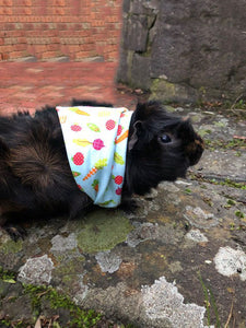 Pet Bandana - Carrots & Apples