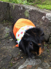 Pet Bandana - Carrots & Apples