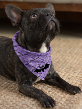 Pet Bandana -  To Cute to Spook - Halloween