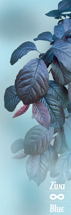 Leaves in Misty Blue - Yoga Pilates Mat