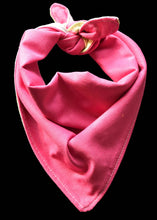Pet Bandana -  Bunny Love