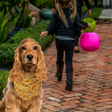 Pet Bandana -  To Cute to Spook - Halloween