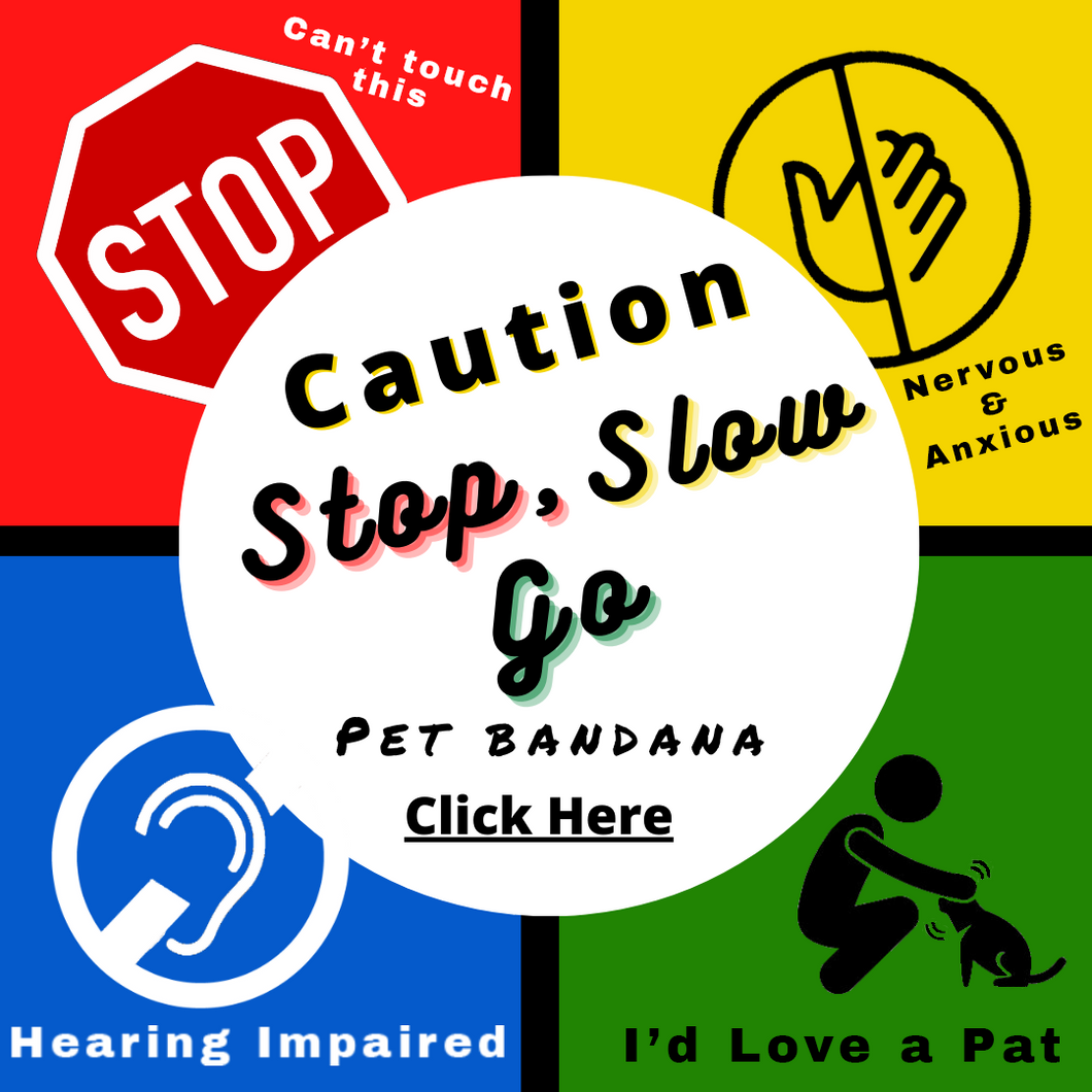 Pet Bandana - Stop, Slow & Go