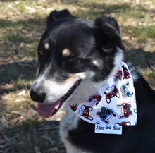 Pet Bandana - Pups in Sunnies