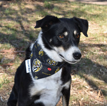 Pet Bandana - RFC Tigers - Yellow & Black