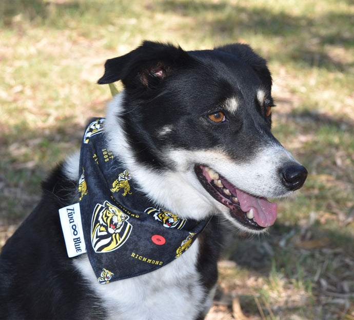 Pet Bandana - RFC Tigers - Yellow & Black