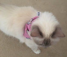 Pet Bandana - Cheeky Pussycat