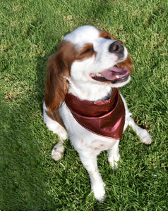 Pet Bandana - Cosplay Puppy