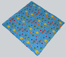 Pet Blanket - Cute Little Monsters