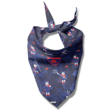 Pet Bandana - D's - Red and Blue