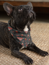 Pet Bandana - Bombers - Red and Black