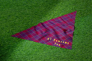 Pet Bandana - #1 Pawsome Fan