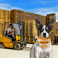 Pet Bandana - Tradie Patrol