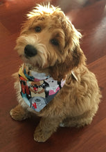 Pet Bandana - Puparazzi Pups