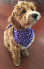 Pet Bandana -  Glow for it - Glow in the Dark