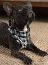 Pet Bandana - #1 Pawsome Fan