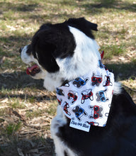 Pet Bandana - Pups in Sunnies